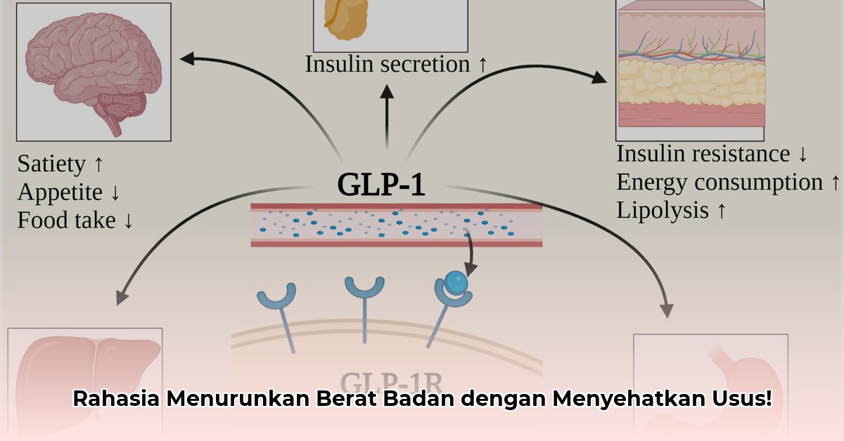 does supergut work for weight loss